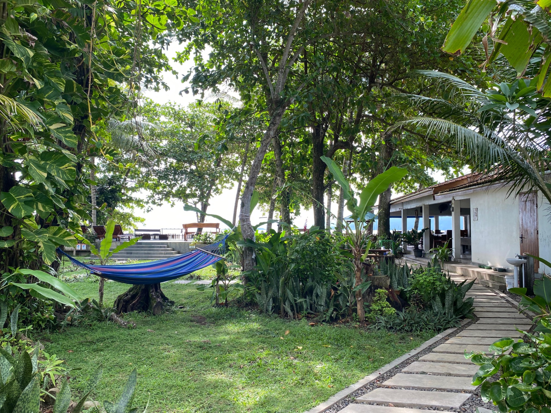 Taman tropis & hammock
